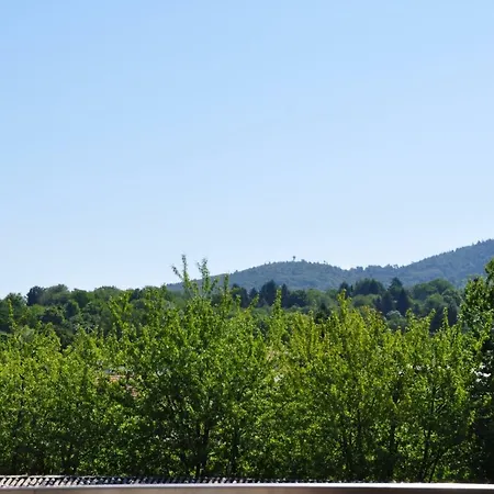 Weinperle Event & Boarding House Sinzheim
